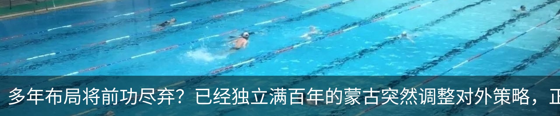 新闻动态